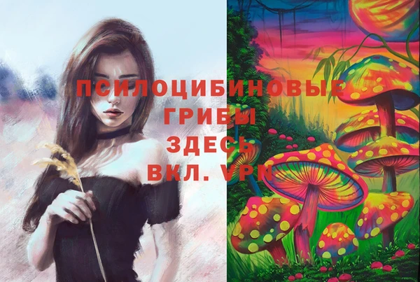 герыч Абаза
