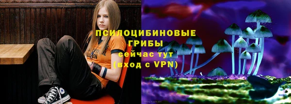 герыч Абаза
