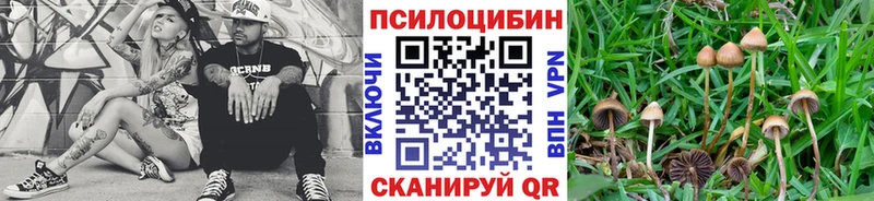 Псилоцибиновые грибы Psilocybine cubensis  kraken маркетплейс  Александров 