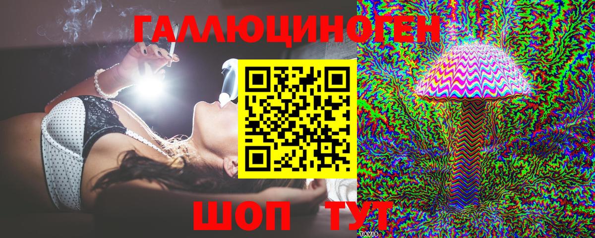 Александров  Галлюциногенные грибы GOLDEN TEACHER  хочу   Галлюциногенные грибы прущие грибы  Вход с VPN 