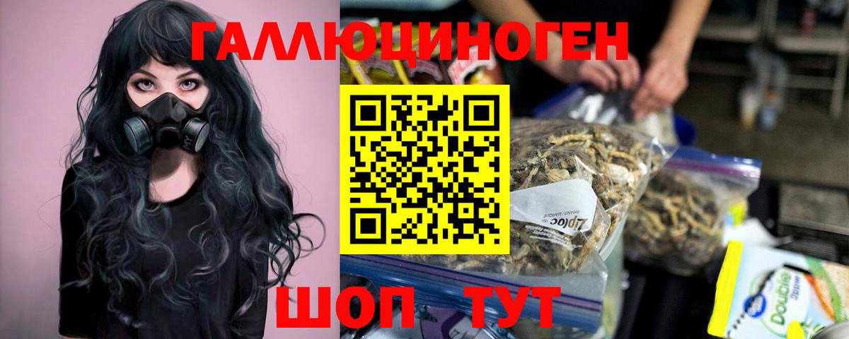 Галлюциногенные грибы GOLDEN TEACHER Александров
